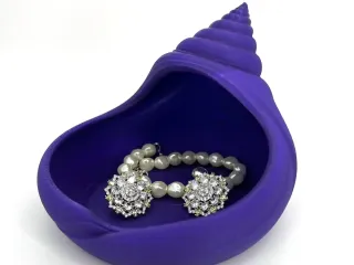 Sea shell jewelry organizer