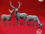 Forest Animals Bundle - Tabletop Props (Pre-Supported STL)-1