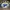 st louis blues trailer hitch cover
