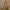 lamp_base