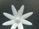 Flower-2