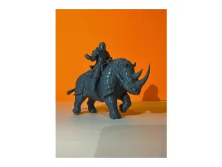 rhinocerontis