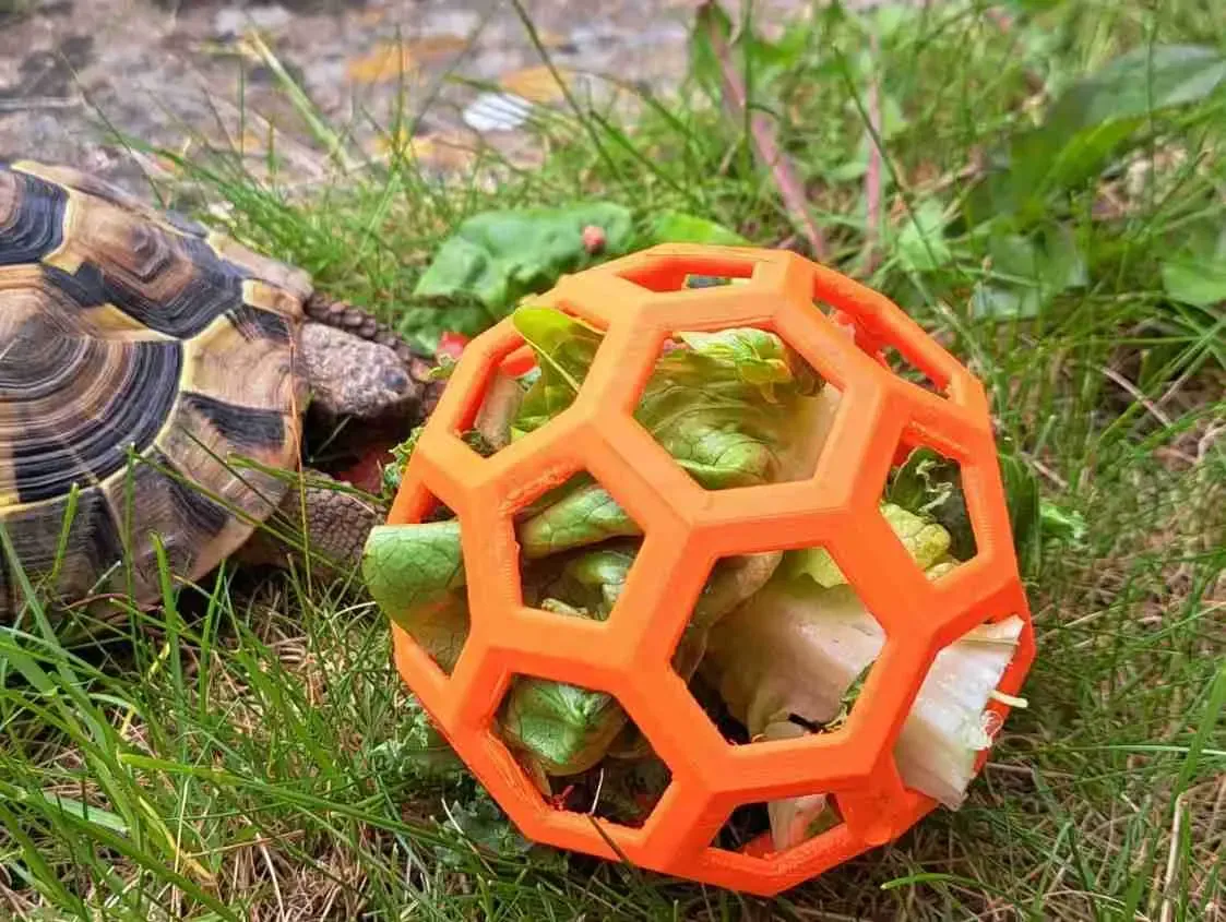 Tortoise Feeder Environment Enrichment Toy Pet Food Holder