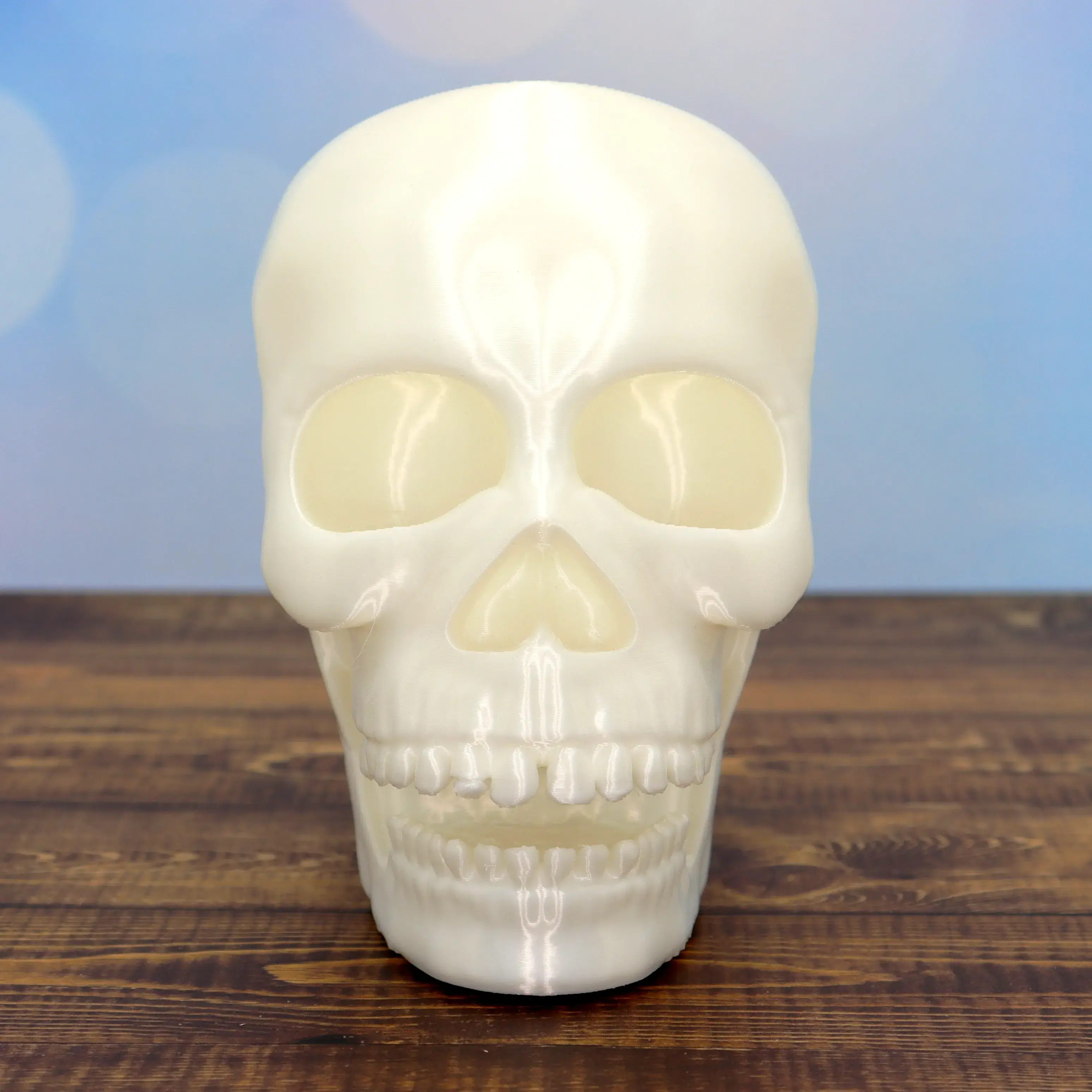 Spooky Skull Halloween decor