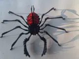 spider-0