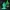 Gelatinous Queen - Febuary 2023 - The Gelatinous Queen-Presu