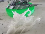 MyzMyth-1