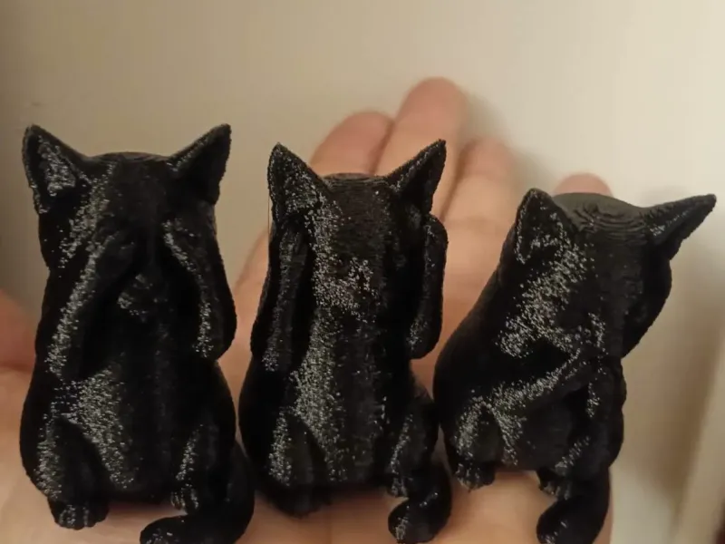 The three wise cats