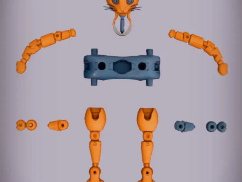  Funny Cat 