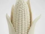 Milho em espiga-0
