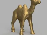 Camel-1