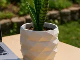 Multi use plant pot/vase/pencil pot-0