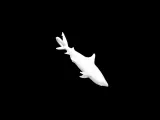 Shark keychain-0