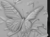 butterfly-0