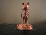 Husky-1