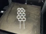 plant trellis-2