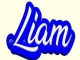 Keychain Liam / Llavero Liam-0