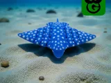 Eagle Ray Mini - Multicolor 3mf included-1