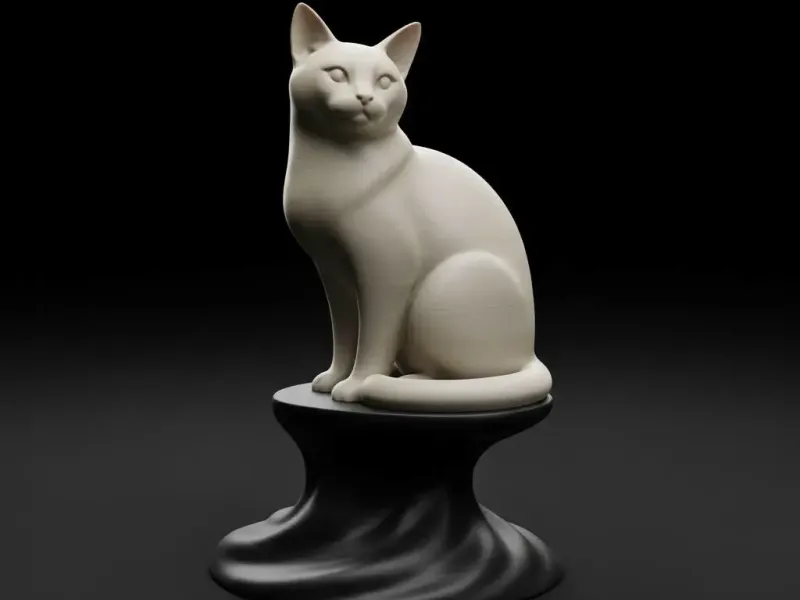 Chat perché