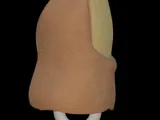 Bigfoot Toe -8