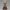 Tsunade Hokage Desk Collectible Figurine