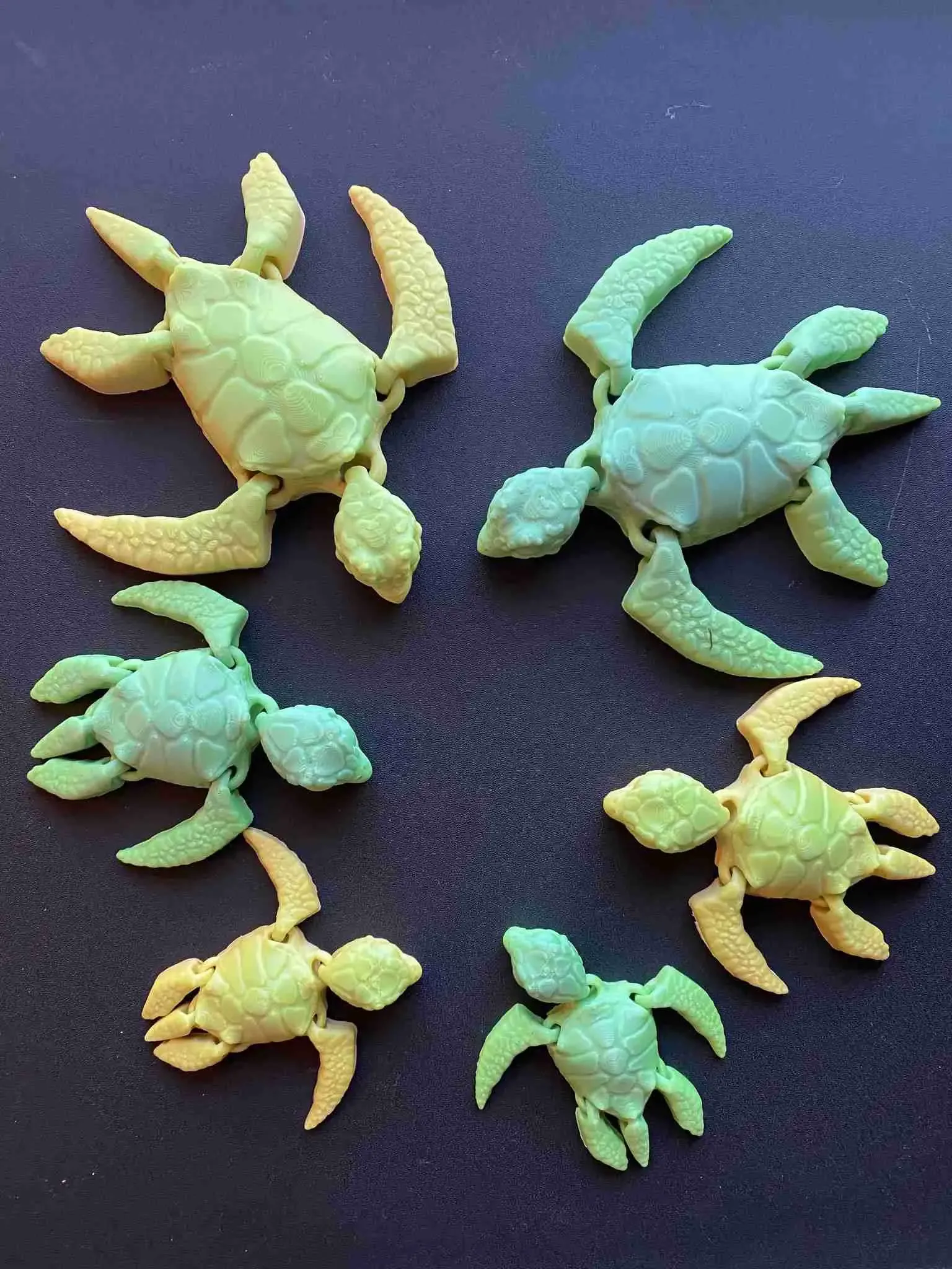 Sea Turtle and Hatchling