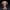Creepy Mushroom Tree | fungi | shroom | Fungus | scary