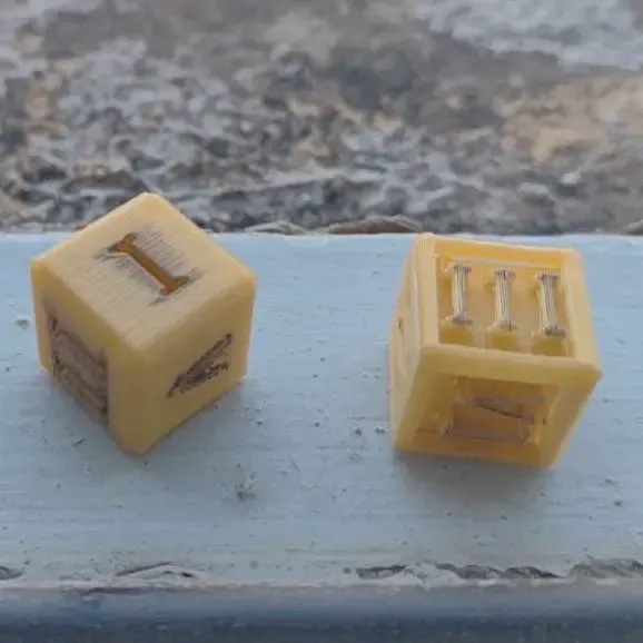 Roman Dice