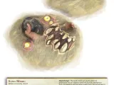 Sand Mimic-4