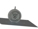 Oakland/ Las Vegas Raider logo/lamp-2