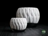 velar • planter-3