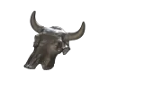 cow skull-2