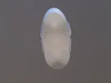 semi Taino -5