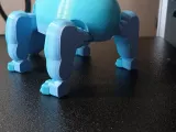 Puppy-5