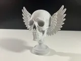 Angel Skull-1