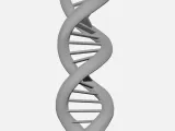 DNA Double Helix-2