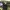 Resonator Phone and iPad stand