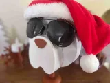 porte lunette chien-1