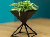 plant pot-0