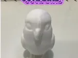 Cute bird-4