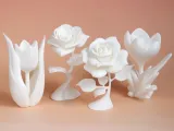 Tulip-6