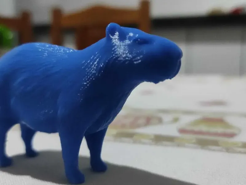 capivara br