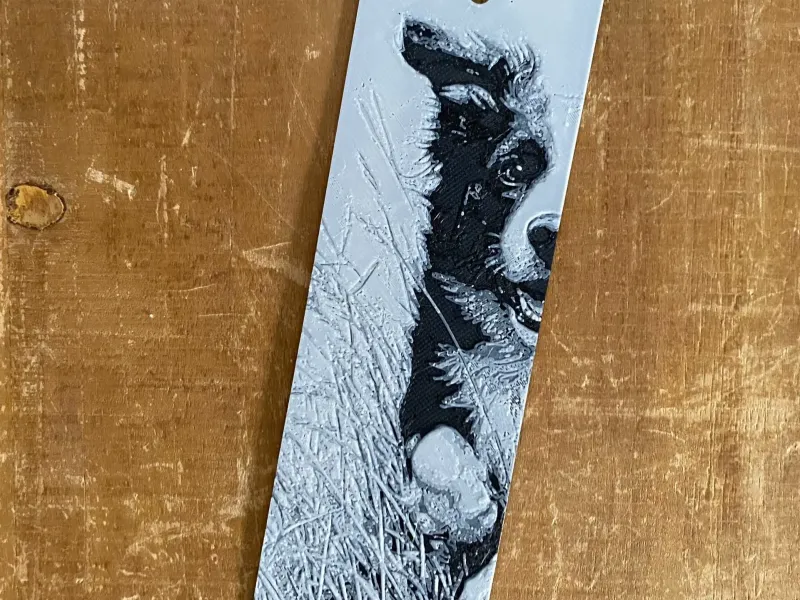 Collie Dog Playing Bookmark