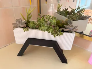 Pot
