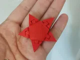 Flexi Star-1