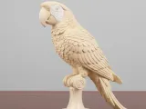 Arara vermelha-1