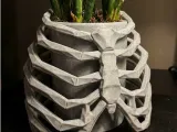 Ribcage Skeleton Planter | Gothic Anatomy Flower Pot-0