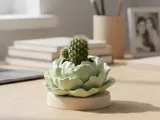 maceta de forma de lechuga-0