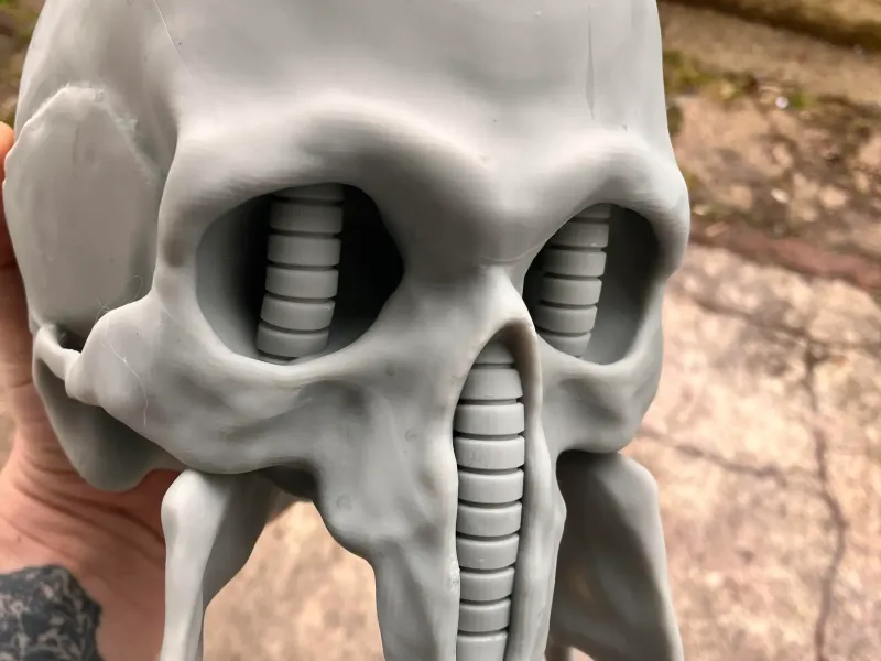 Giger Concept Skull