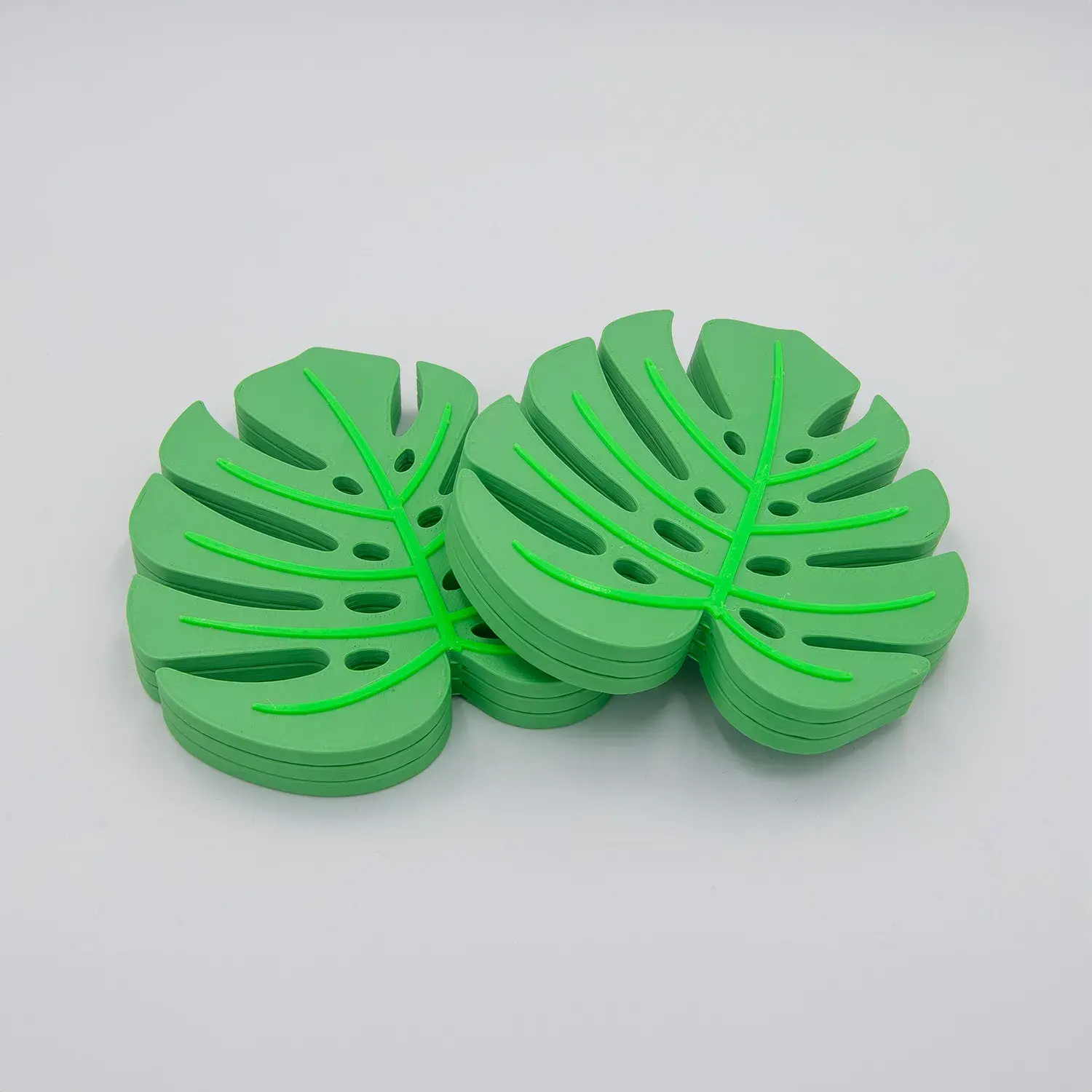 Monstera Coaster
